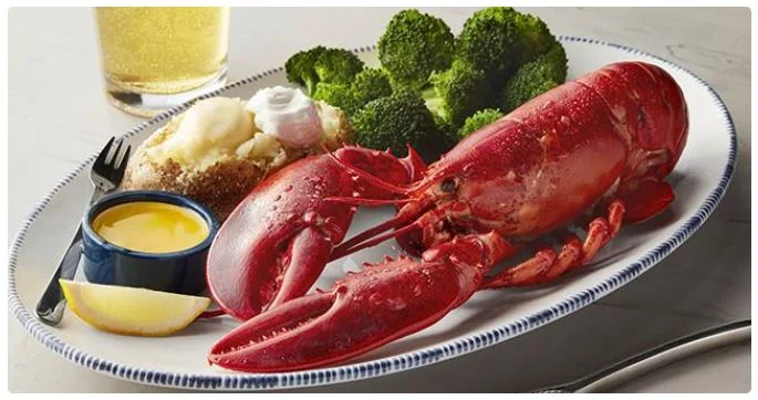 Live Maine Lobster (1.25 lb.)